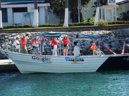 Google Deniz Aralar Yalova Web